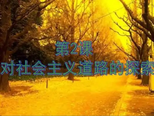 九年级历史下册第2课对社会主义道路的探索课件新人教版