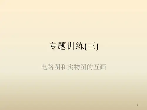 初中物理 专题训练---电路图和实物图的互画 课件