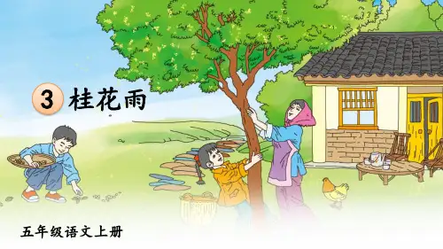 人教版五年级语文上册第3课《桂花雨》精品课件