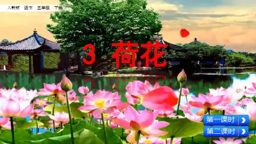部编版三年级语文下册《荷花》PPT课件