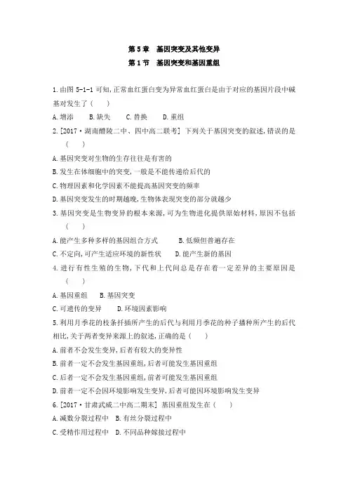 生物人教版必修2练习第5章基因突变及其他变异