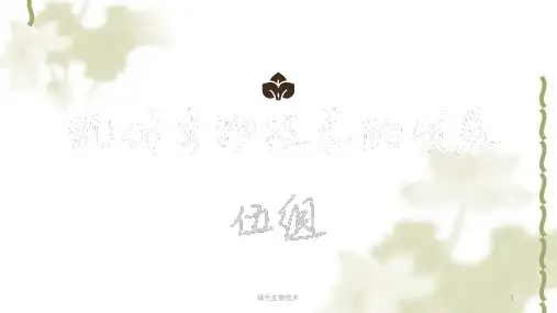 现代生物技术ppt课件