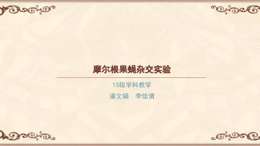 摩尔根果蝇杂交实验
