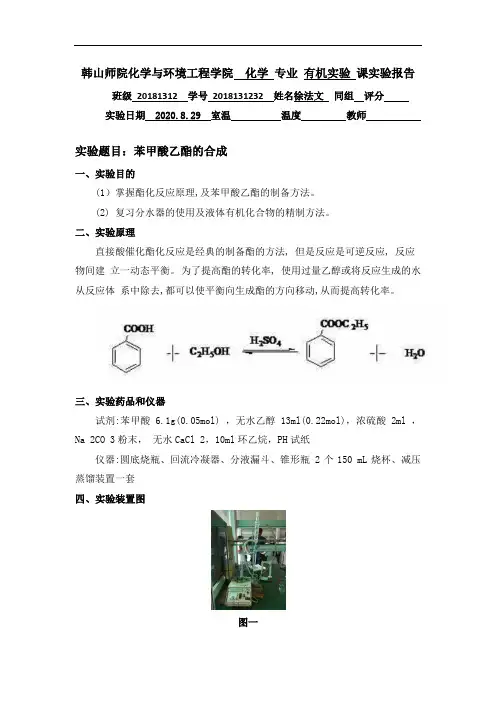 10.苯甲酸乙酯的合成