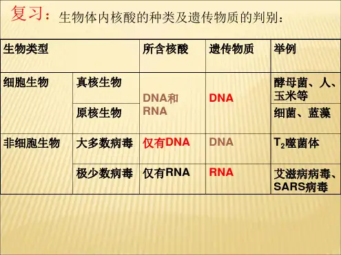 DNA结构和特点
