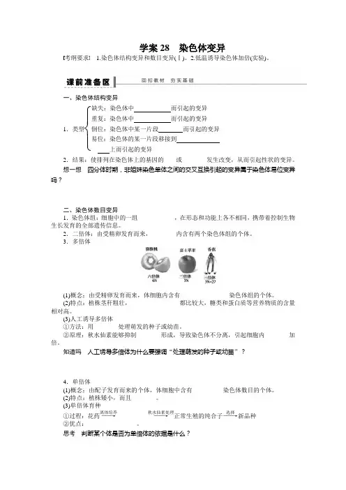 学案28染色体变异