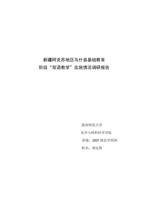新疆 基础教育研究报告
