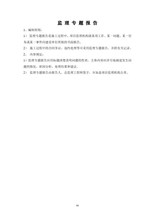 监理专题报告