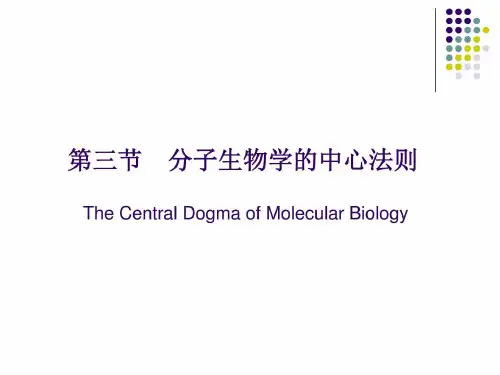 分子生物学的中心法则汇总