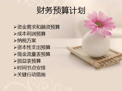 资本性支出和现金流量(ppt 50页)