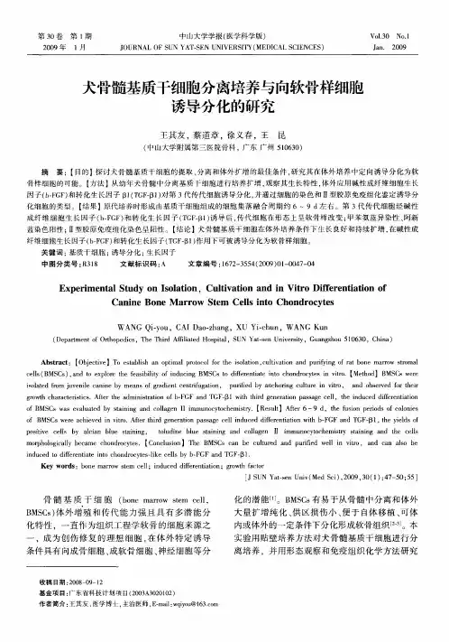 犬骨髓基质干细胞分离培养与向软骨样细胞诱导分化的研究
