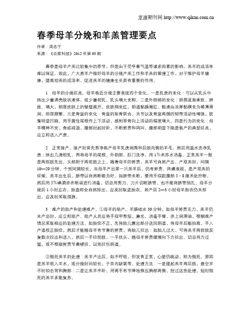 春季母羊分娩和羊羔管理要点
