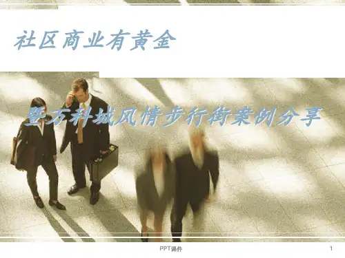 万科的社区商业案例 ppt课件