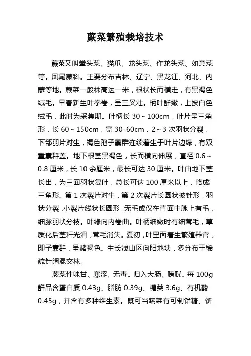 蕨菜繁殖栽培技术