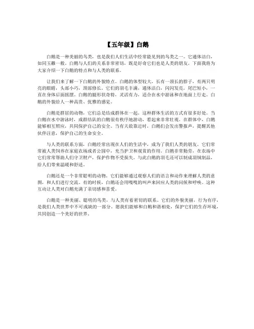 【五年级】白鹅