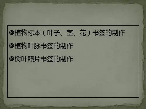 植物书签的制作