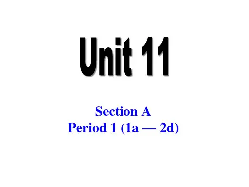 人教版九年级全一册英语 Unit11 Section A(1a-2d) 
