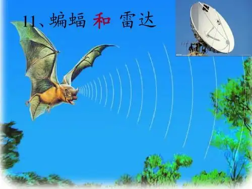 11、蝙蝠和雷达