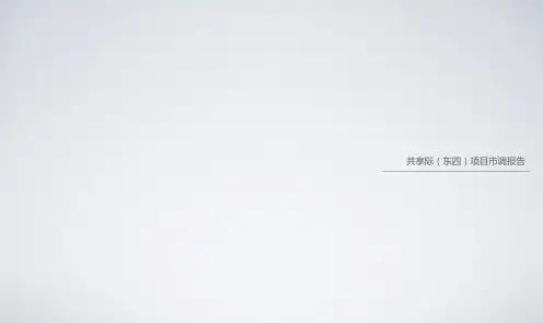 共享际(东四)案例分析