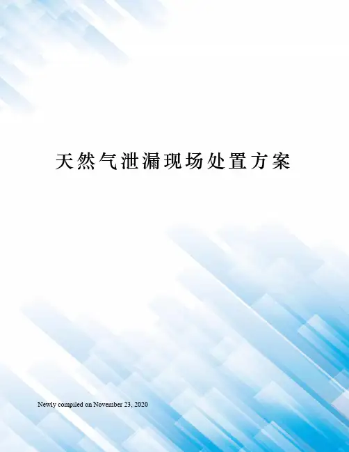 天然气泄漏现场处置方案