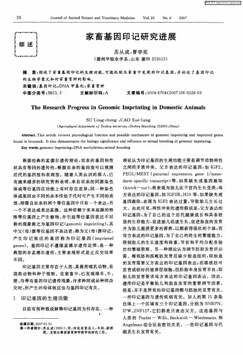 家畜基因印记研究进展