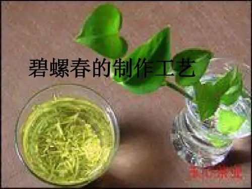 碧螺春的制作工艺共16页文档