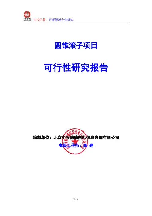 圆锥滚子项目可行性研究报告编写格式及参考(模板word)