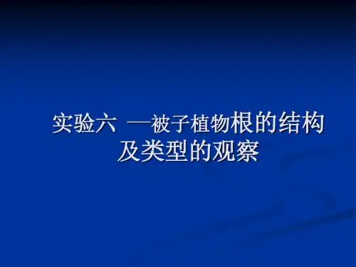 实验5 被子植物各器官的形态结构