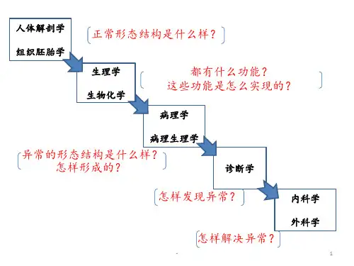 人体解剖学--绪论及骨学PPT课件