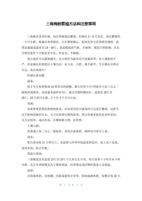 三角梅的繁殖方法和注意事项 2
