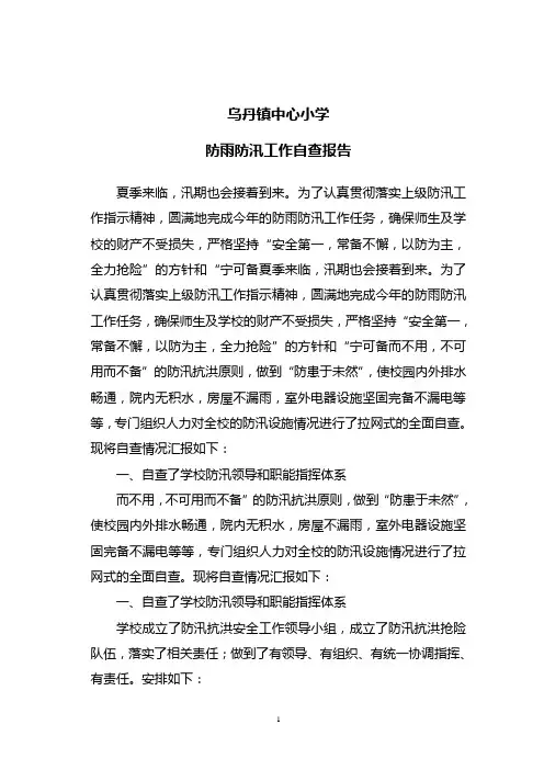 防雨防汛工作自查报告