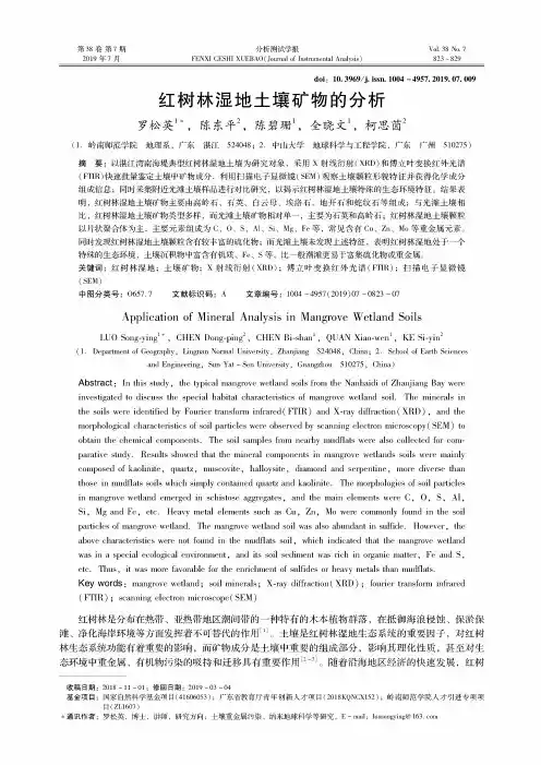 红树林湿地土壤矿物的分析
