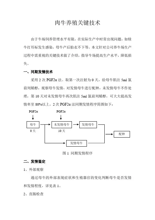 肉牛养殖关键技术