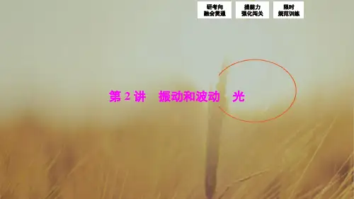 2018届高三物理高考二轮复习 第一部分 专题八 第2讲 振动和波动 光