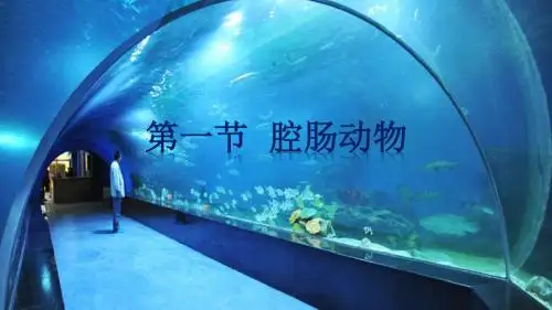 第一节 腔肠动物