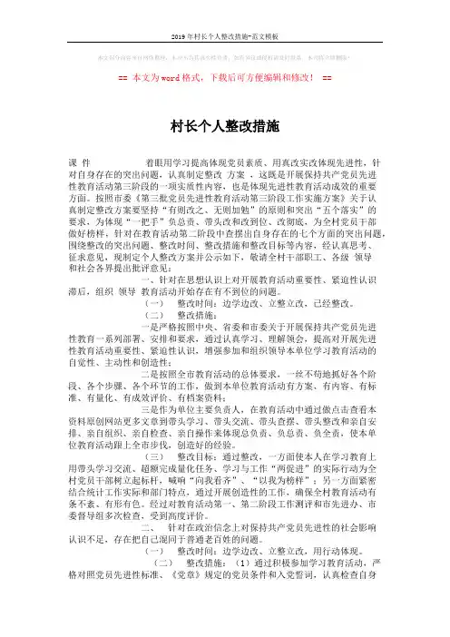 2019年村长个人整改措施-范文模板 (4页)