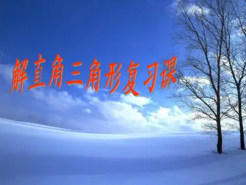 解直角三角形复习课