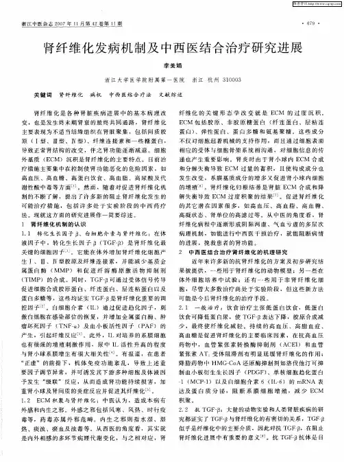 肾纤维化发病机制及中西医结合治疗研究进展
