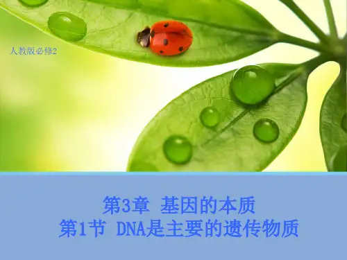 高中人教版生物必修2教学课件：3.1 dna是主要的遗传物质1 word版含答案