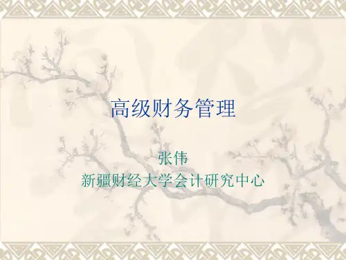 高级财务管理 第一章财务管理理论
