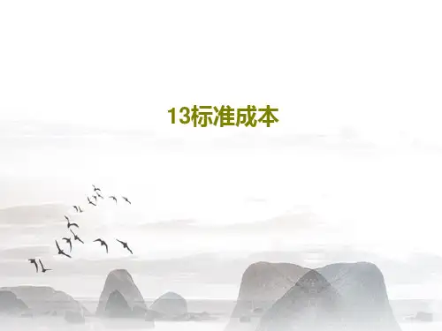 13标准成本42页PPT