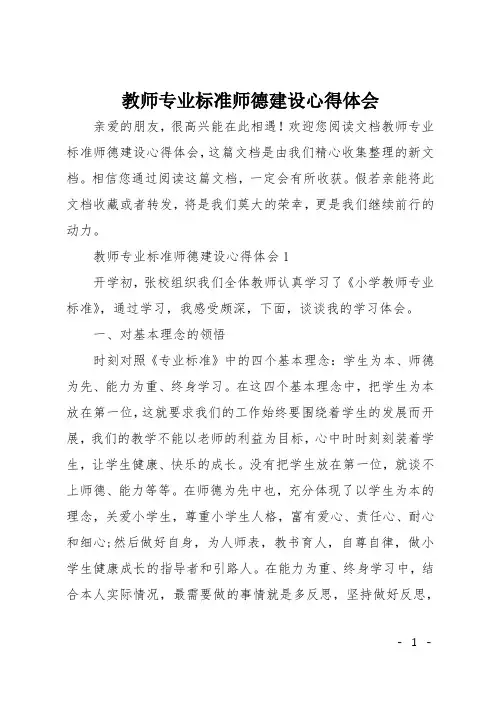 教师专业标准师德建设心得体会