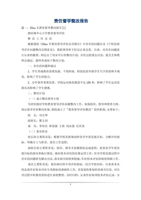 责任督学整改报告
