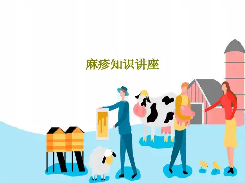 麻疹知识讲座33页PPT
