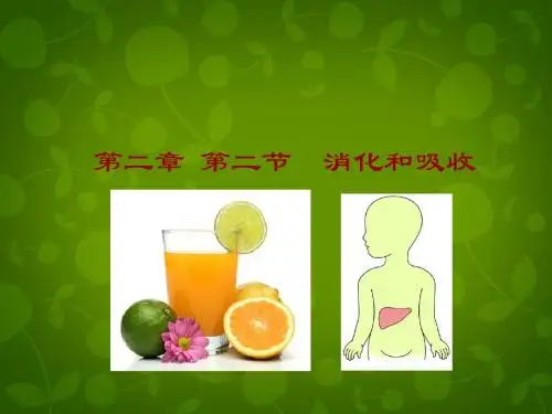 七年级生物下册 第四单元 第二章 第2节 消化和吸收课件1 新人教版