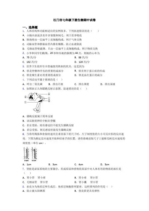 江门市七年级下册生物期中试卷