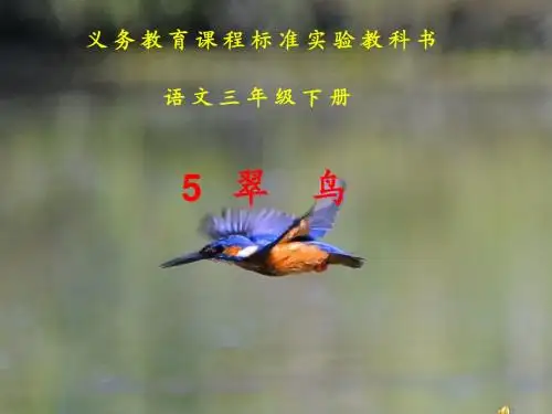 翠鸟