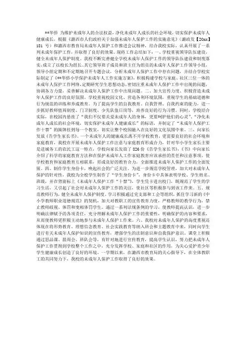小学未成年人保护工作总结