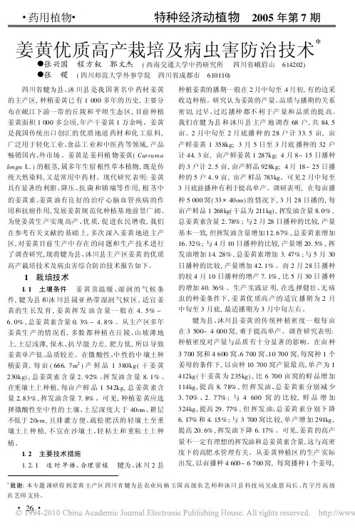 姜黄优质高产栽培及病虫害防治技术