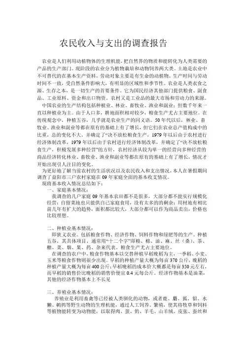 社会调查报告